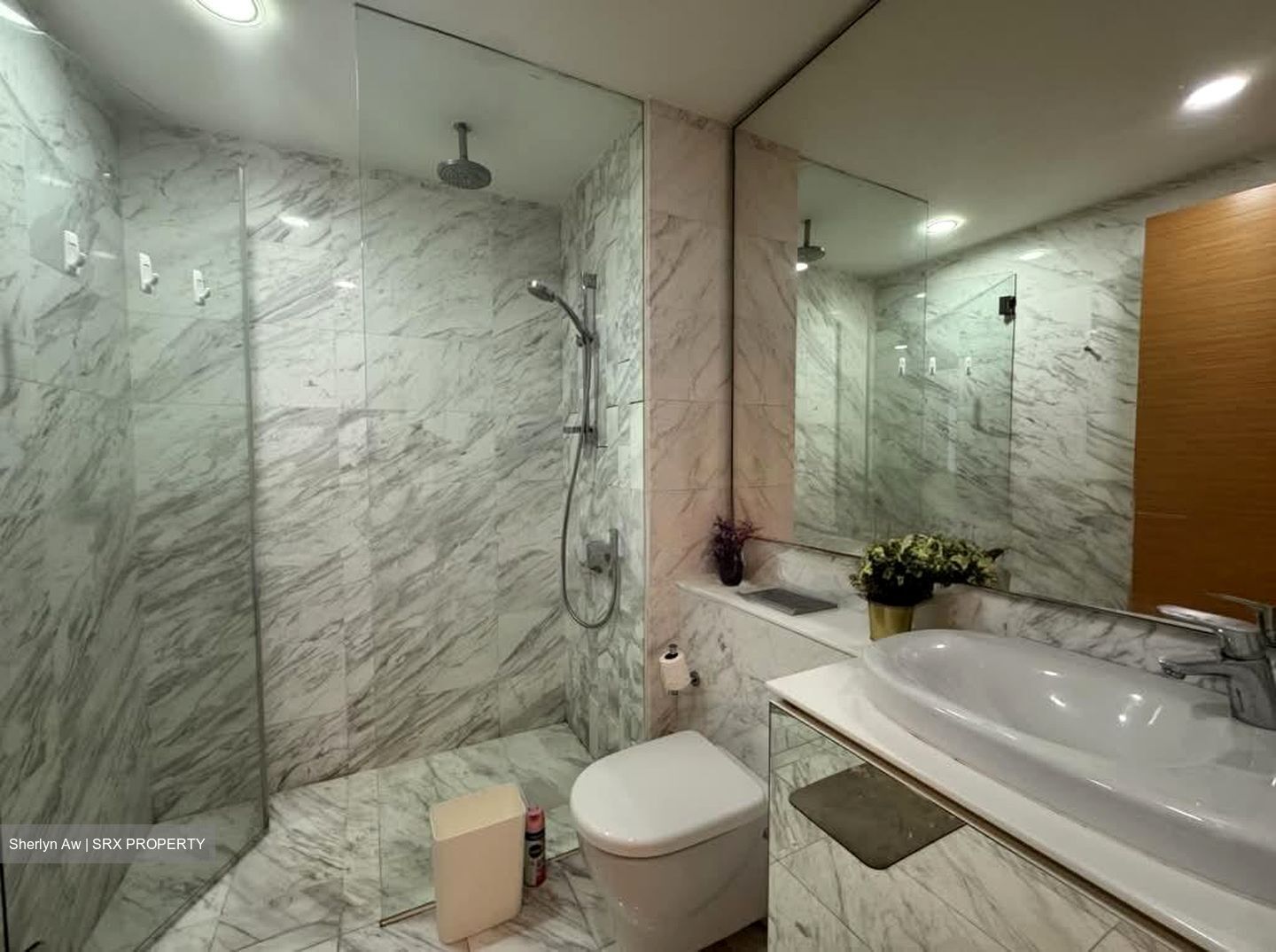 Waterscape at Cavenagh (D9), Apartment #598081731